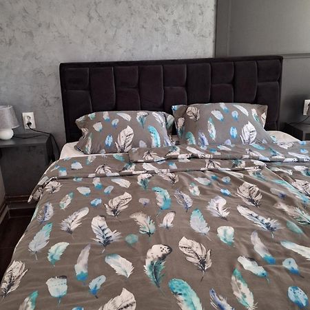 Apartament Stan Na Dan Dunja 2 Vrsac Zewnętrze zdjęcie