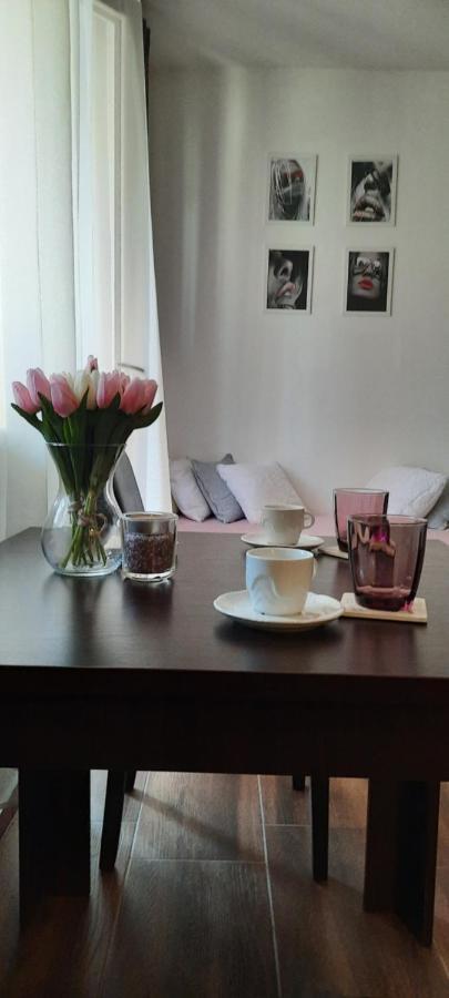 Apartament Stan Na Dan Dunja 2 Vrsac Zewnętrze zdjęcie