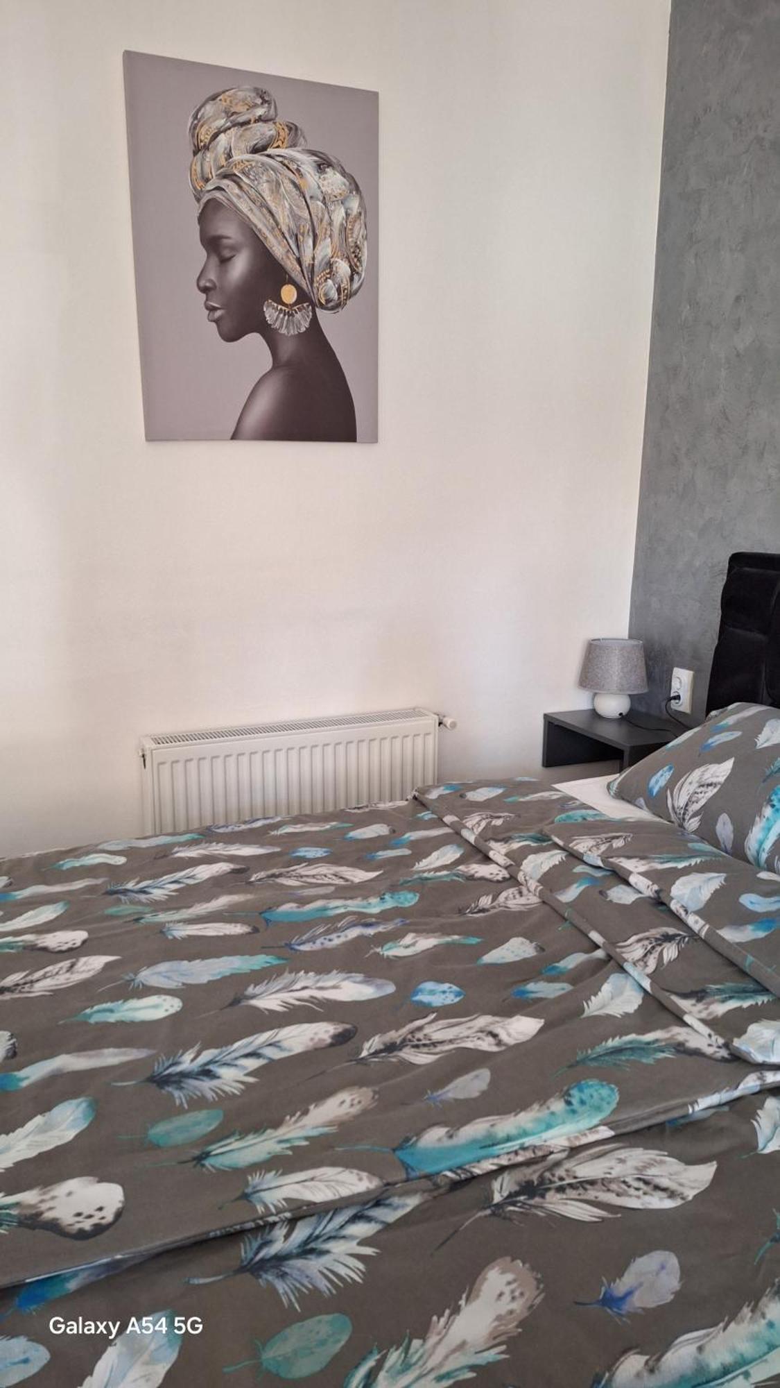 Apartament Stan Na Dan Dunja 2 Vrsac Zewnętrze zdjęcie