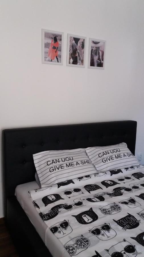 Apartament Stan Na Dan Dunja 2 Vrsac Zewnętrze zdjęcie